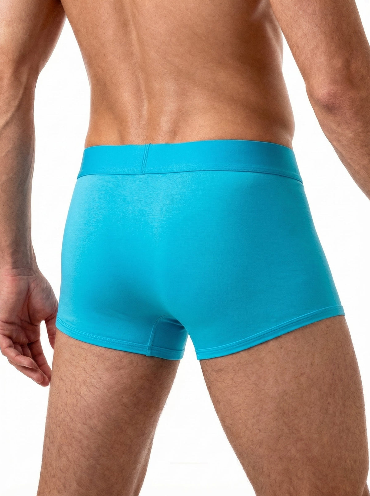 DELIGHT TURQUOISE BLUE BIG SIZE